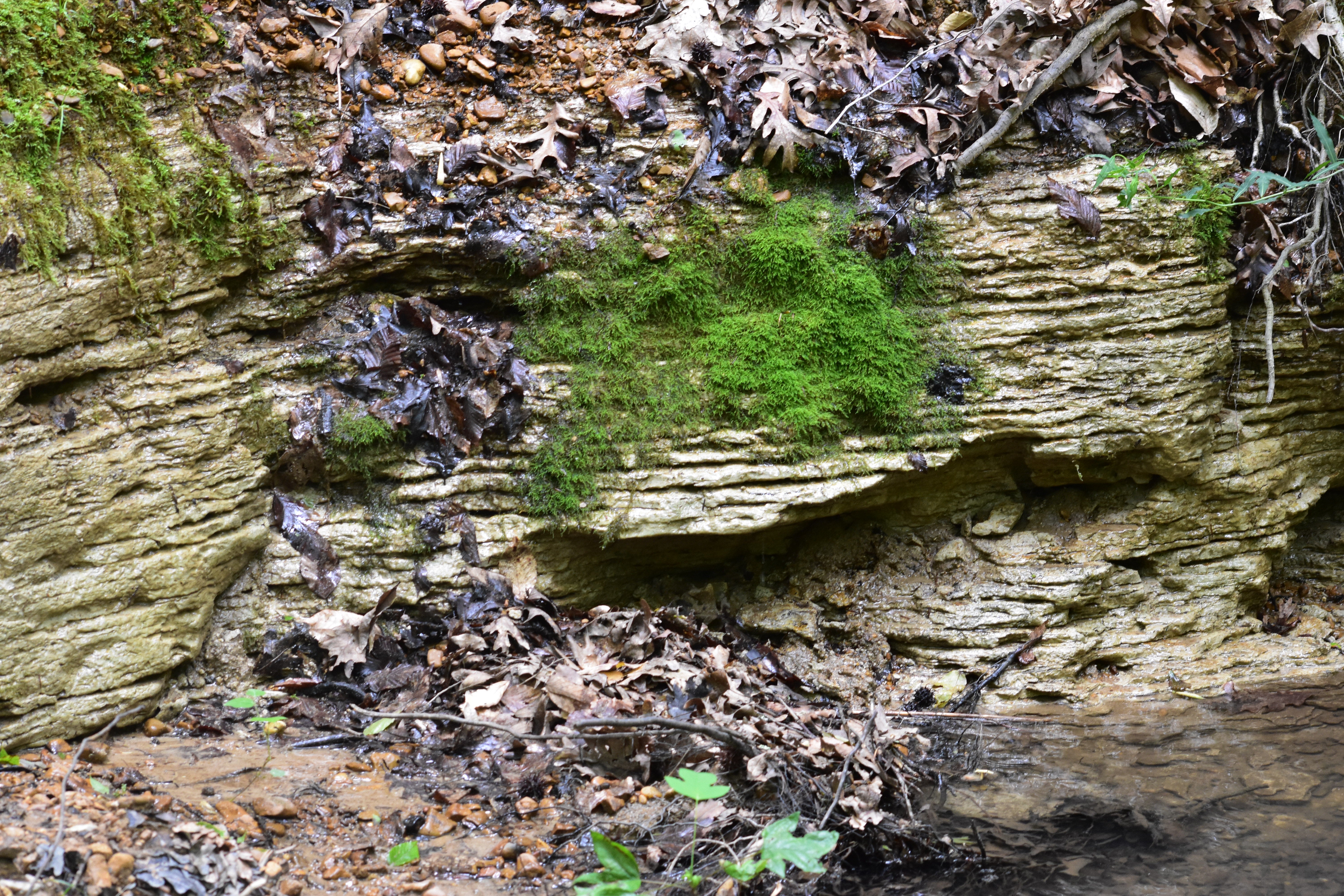 Layers of grey clay with moss growing on it 